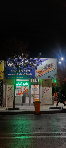 عکس کبابی رضا