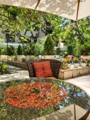 عکس مرکز مشاوره مامایی نیلو معظمی