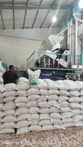 عکس سورتینگ برنج ماه سو