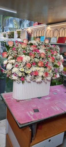 عکس گلسرای کاتالیا