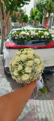 عکس گلسرای کاتالیا