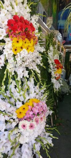 عکس گلسرای کاتالیا
