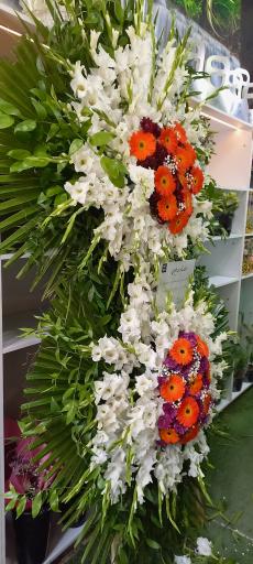 عکس گلسرای کاتالیا