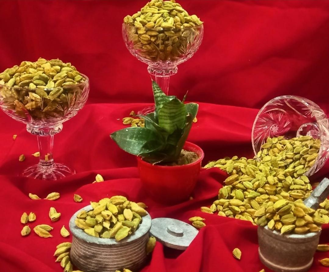 عکس زعفران منیران