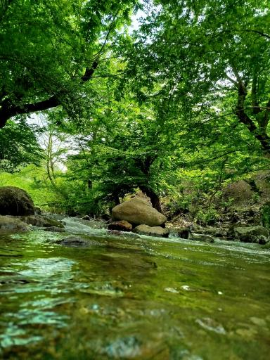 عکس رودخانه ماسال شالما