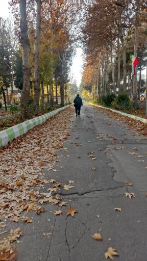 عکس دانشگاه فنی مشهد شهید منتظری