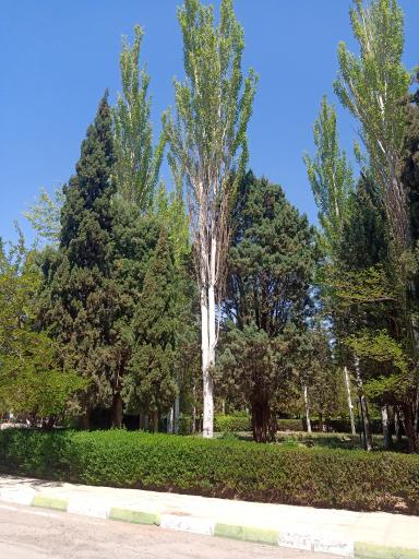 عکس بوستان حجاب و عفاف شهید قاسم سلیمانی