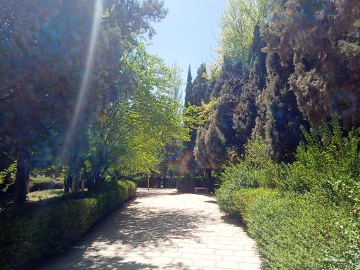 عکس بوستان حجاب و عفاف شهید قاسم سلیمانی