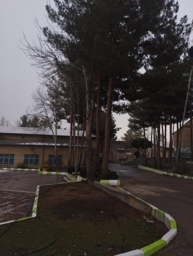 عکس دانشگاه فنی مشهد شهید منتظری