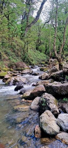 عکس رودخانه ماسال شالما