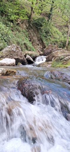 عکس رودخانه ماسال شالما
