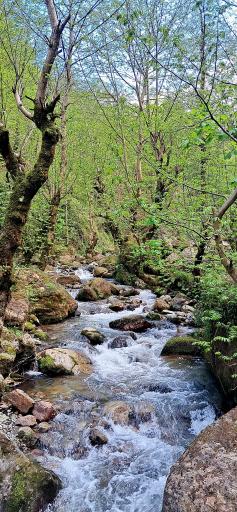 عکس رودخانه ماسال شالما