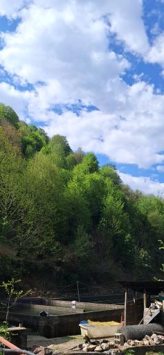 عکس رودخانه ماسال شالما