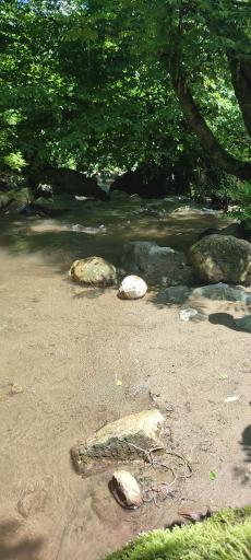 عکس رودخانه ماسال شالما