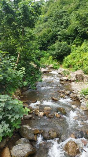 عکس رودخانه ماسال شالما