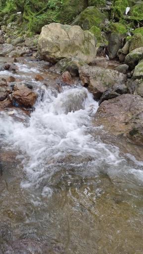 عکس رودخانه ماسال شالما