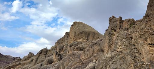 عکس سرغایه