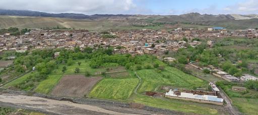 عکس سرغایه
