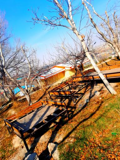 عکس باغ خانواده