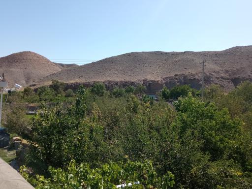 عکس سرغایه