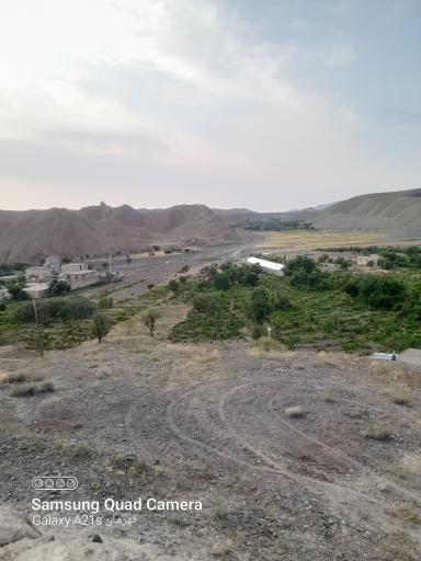 عکس سرغایه
