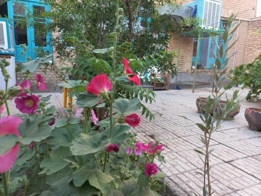 عکس آموزشگاه خوشنویسی یادگارقلم 