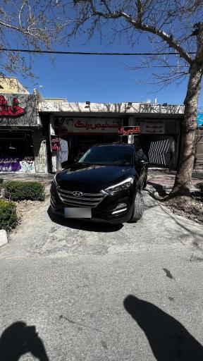عکس تشخيص رنگ و ديتيلينگ متين