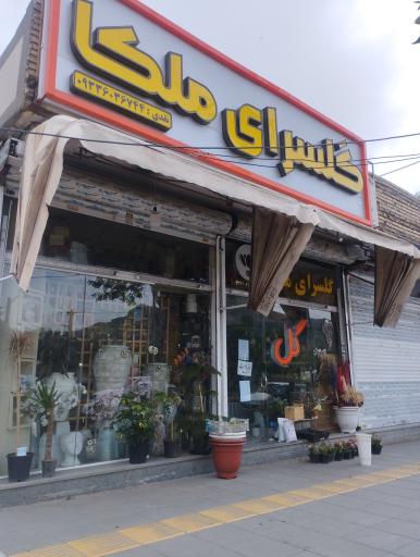 عکس گل فروشی ملکا