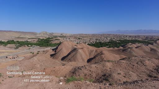 عکس سرغایه