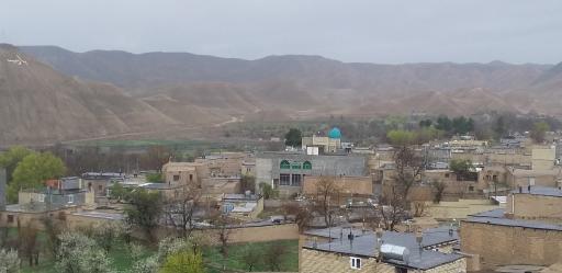 عکس سرغایه