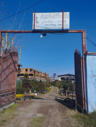 عکس تولیدی گل و گیاه امین