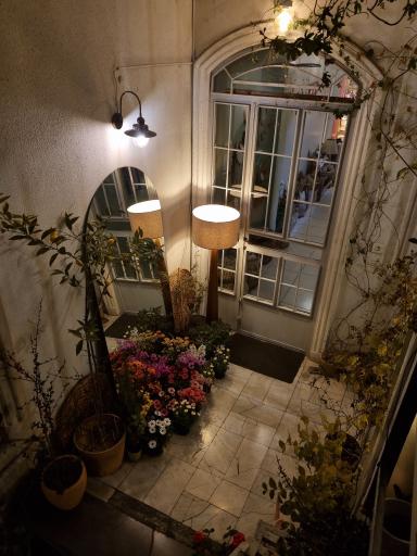 عکس جیب استور