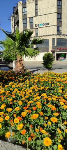 عکس امداد باتری(فروش و خدمات سپاهان)