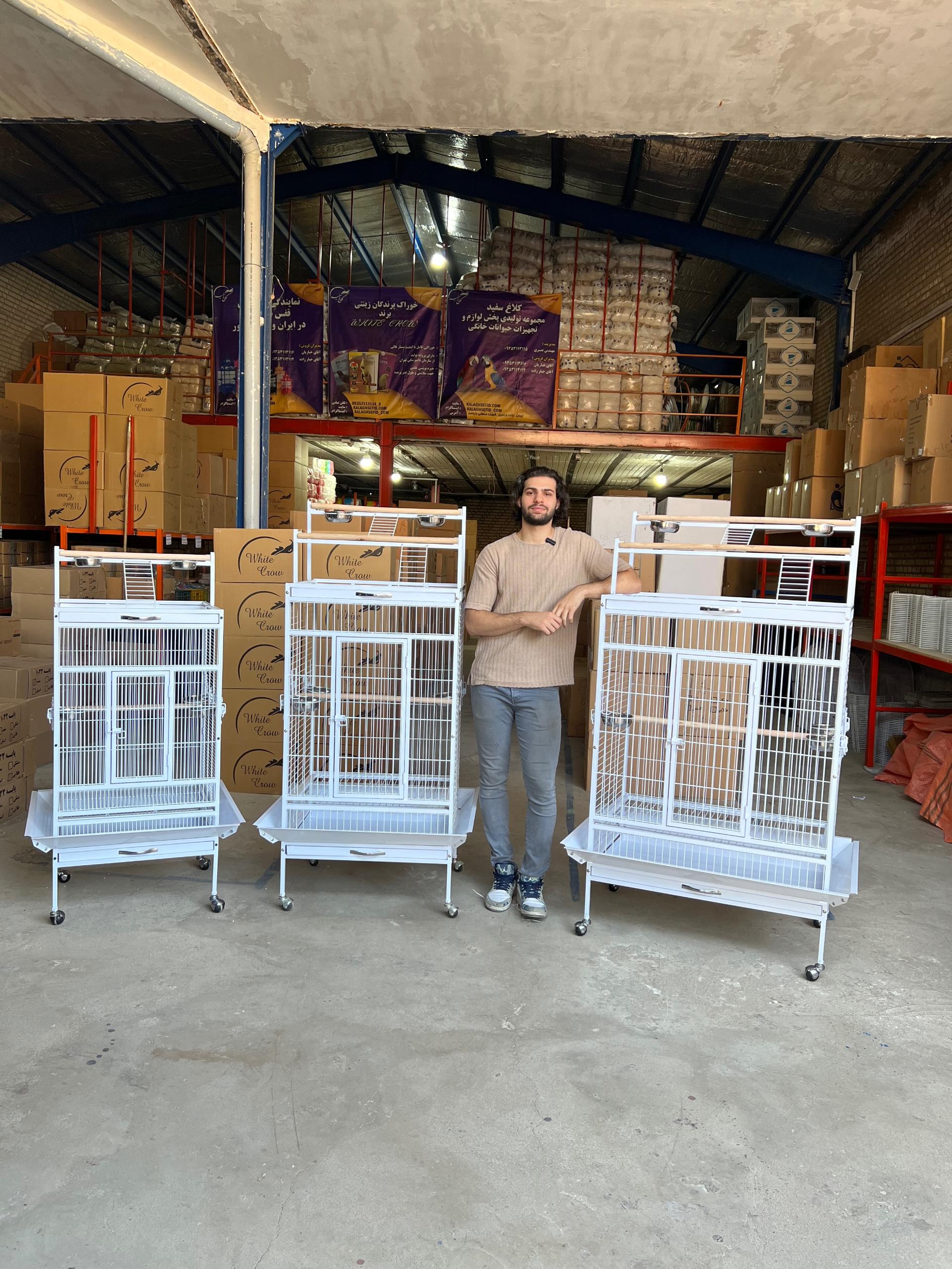 عکس کلاغ سفید