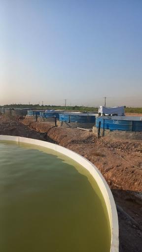 عکس شرکت فایبرگلاس ایمان خرمشهر 