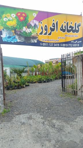 عکس گلخانه افروز