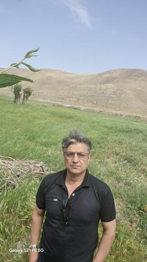 عکس پاکتل