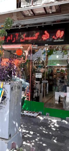 عکس گل آرام