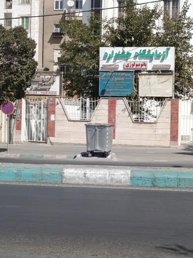 عکس رادیولوژی جشنواره دکتر ترابیان 