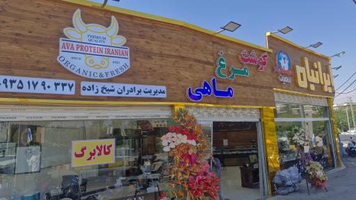 عکس آوا پروتئین ایرانیان