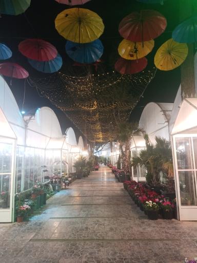 عکس بازار گل پارادایس