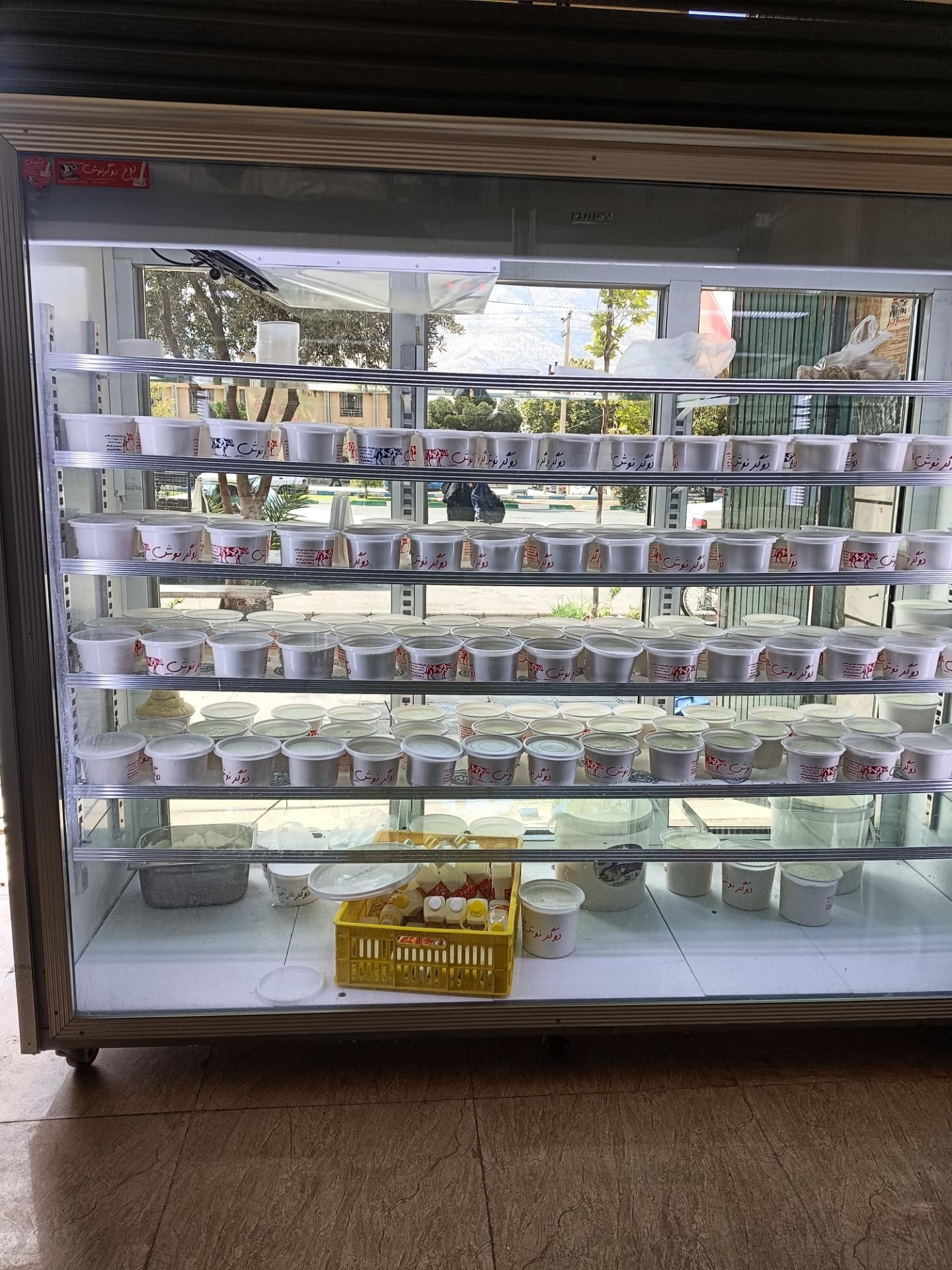 عکس لبنیات دوگرنوش