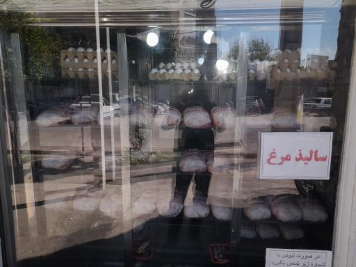 عکس مرغ و ماهی شهروند