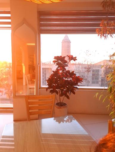 عکس کافه مونالیزا