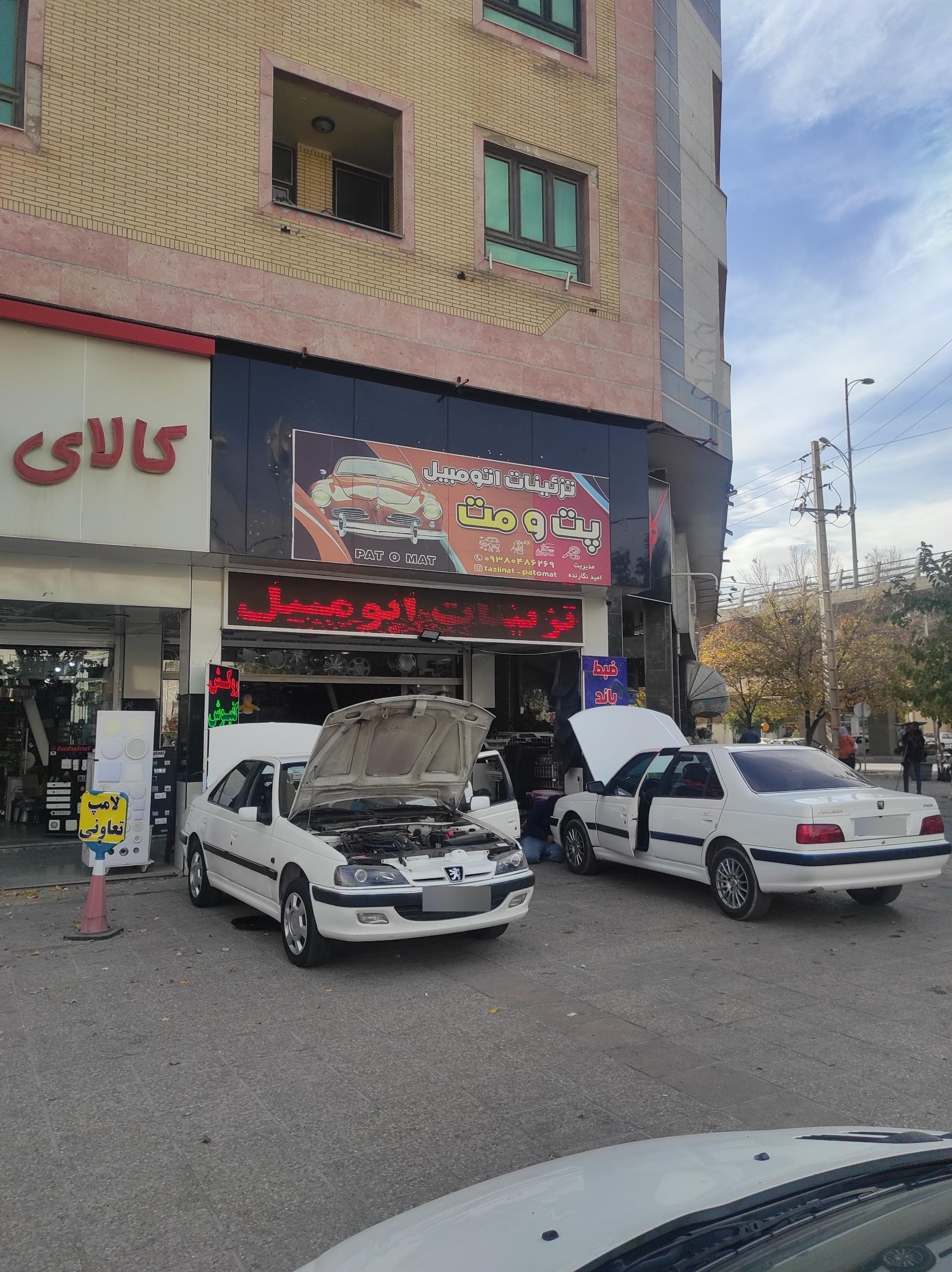 عکس تزئینات اتومبیل پت و مت