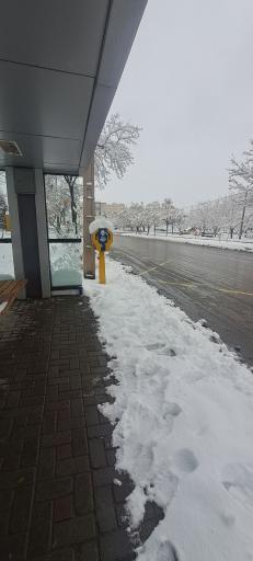 عکس  سرافرازان 38