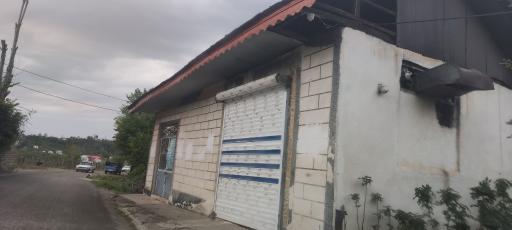 عکس نانوایی بربری