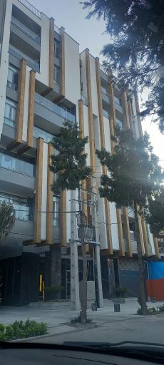 عکس مجتمع ویولت