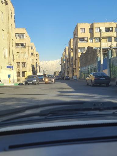 عکس مجتمع های ارکیده