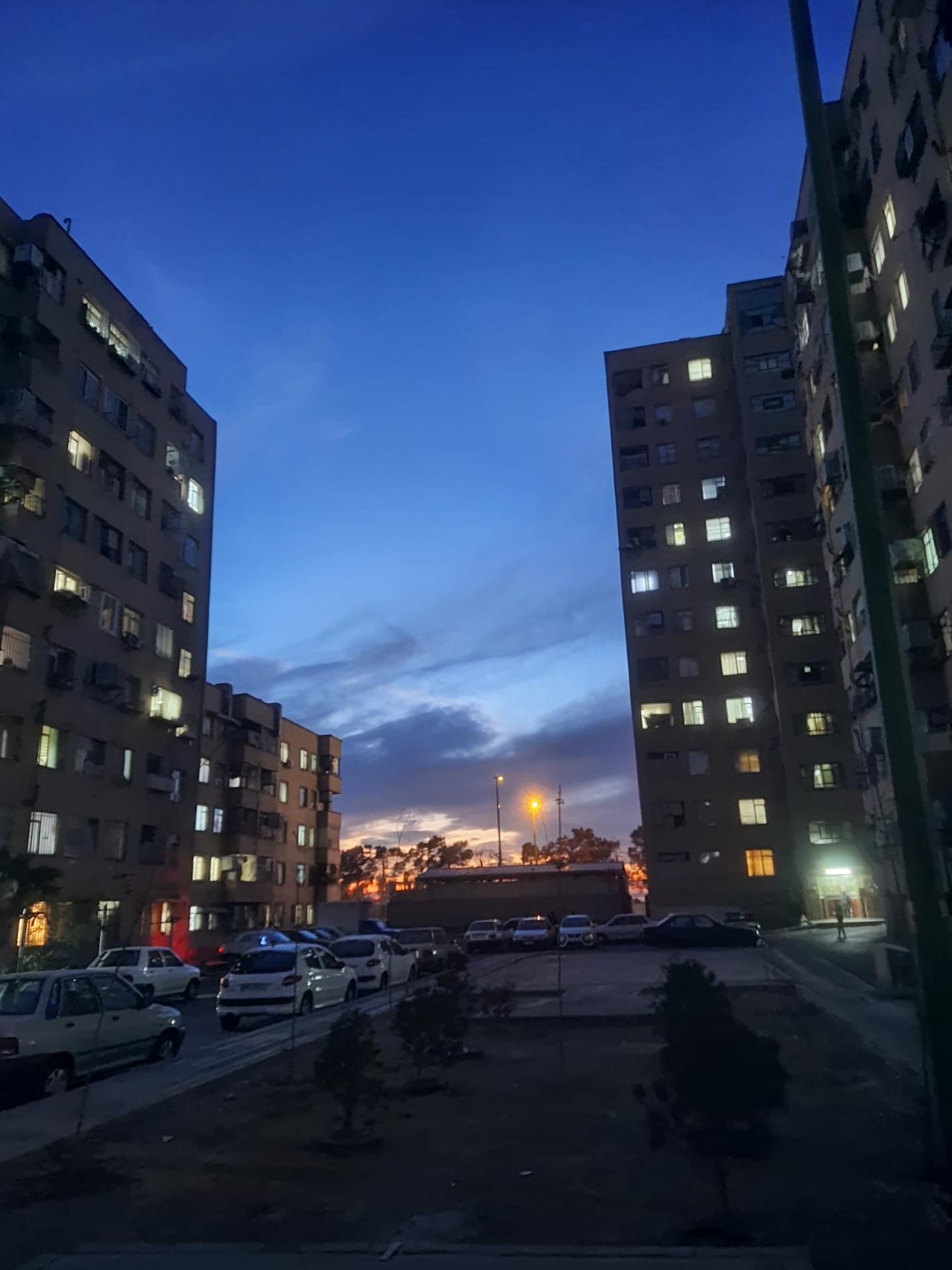 عکس مجتمع های ارکیده